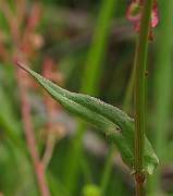 IMG_6302