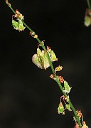 IMG_7139