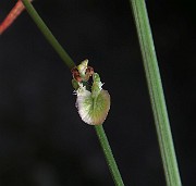 IMG_7140