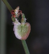 IMG_7141