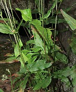 IMG_7144