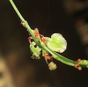 IMG_7147