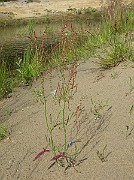 IMG_7197