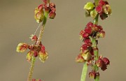 IMG_7200b