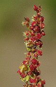 IMG_7200c
