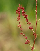 IMG_6330