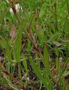 IMG_6380
