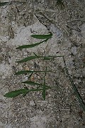 IMG_7189
