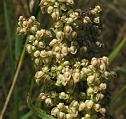 IMG_9784