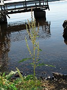 IMG_8889