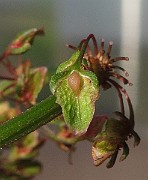 IMG_8939