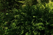 IMG_6361