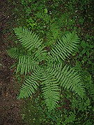 IMG_3287