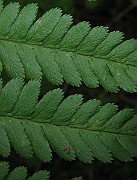 IMG_3288
