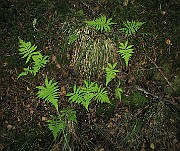 IMG_4882