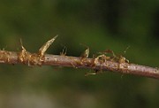 IMG_4895