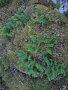 IMG_4309