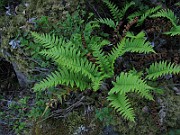 IMG_7086