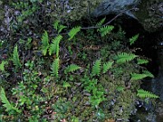 IMG_7091