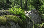 IMG_7093