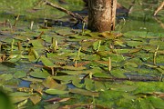 IMG_0053