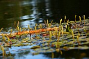 IMG_0977