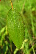 IMG_4021