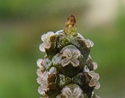 IMG_5156