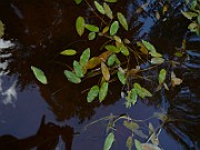 P1040249