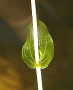 IMG_2341