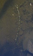 IMG_4939
