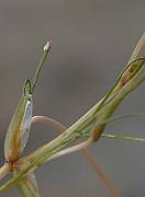 IMG_4685