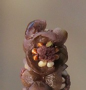 IMG_4686