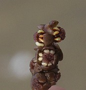 IMG_4687