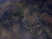 IMG_4701