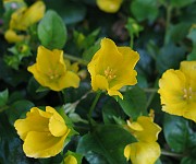 IMG_3019b