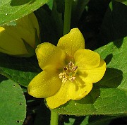 IMG_3443b