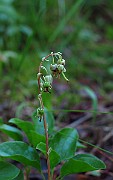 IMG_2506