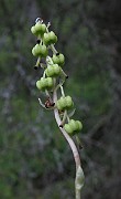 IMG_4001
