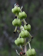 IMG_4001b