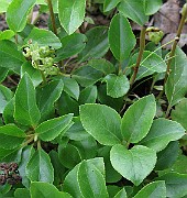 IMG_5672b