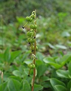 IMG_5673