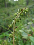 IMG_5674