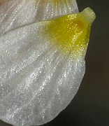 IMG_4643