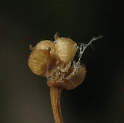 IMG_4649