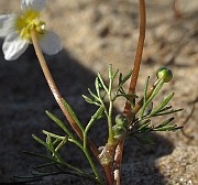 IMG_0065