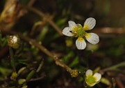 IMG_2595