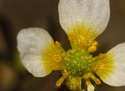 IMG_2597