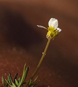 IMG_2609