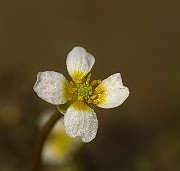 IMG_2611